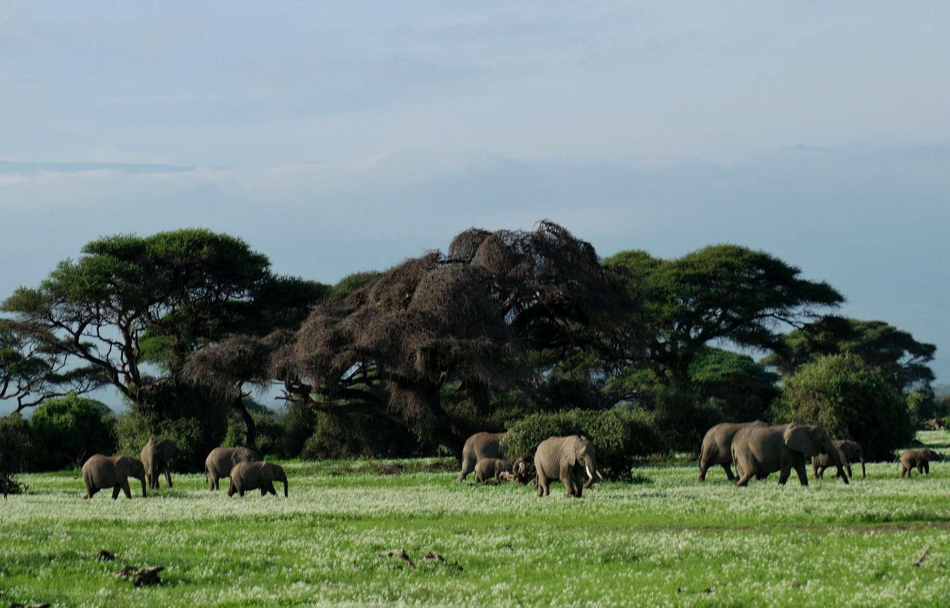 Photo from a stop of this diary