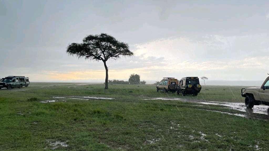 Photo from a stop of this diary