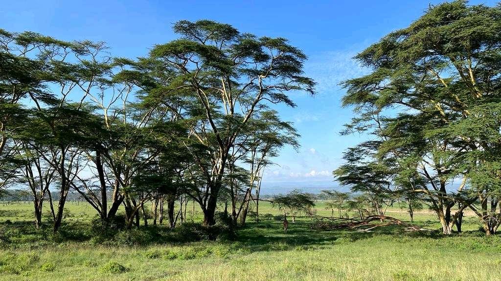 Photo from a stop of this diary