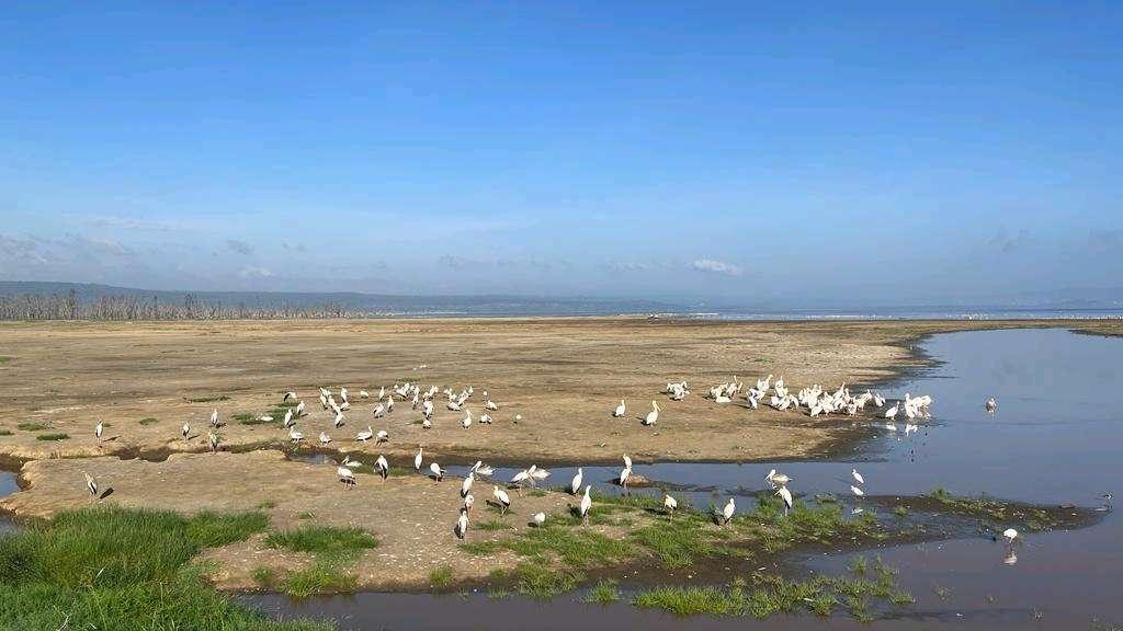 Photo from a stop of this diary