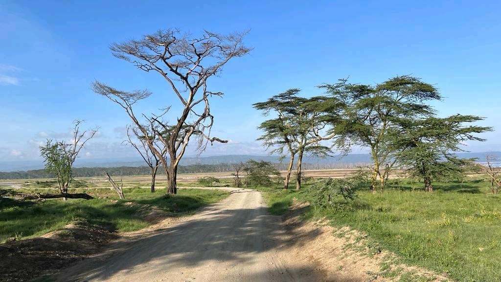 Photo from a stop of this diary