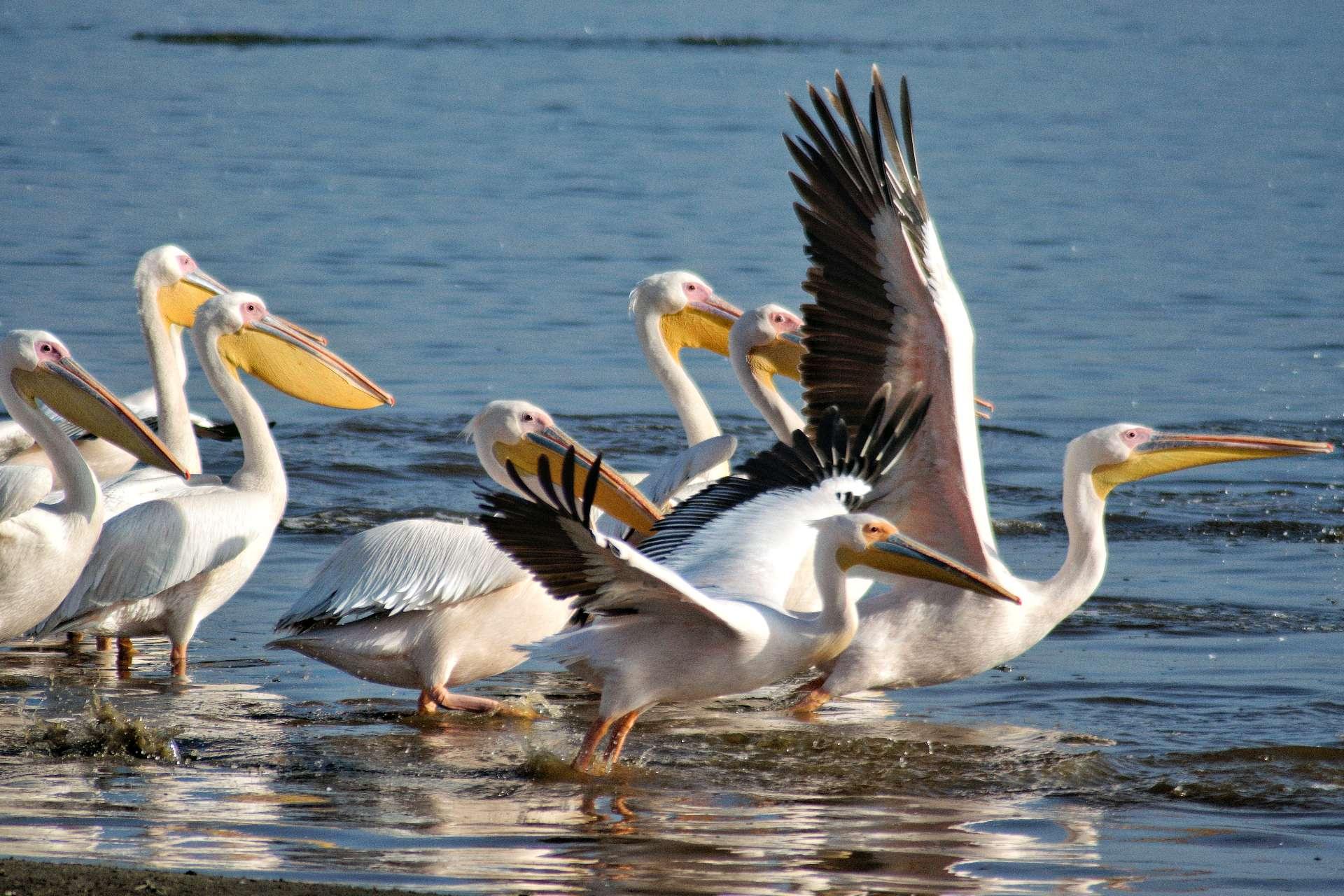 Photo from a stop of this diary