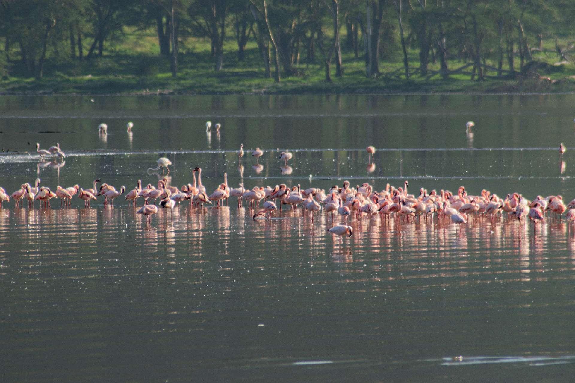 Photo from a stop of this diary