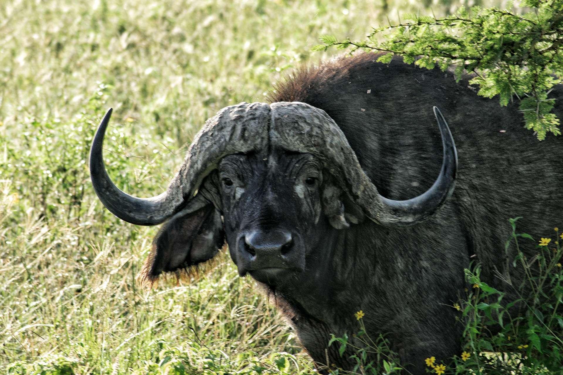 Photo from a stop of this diary