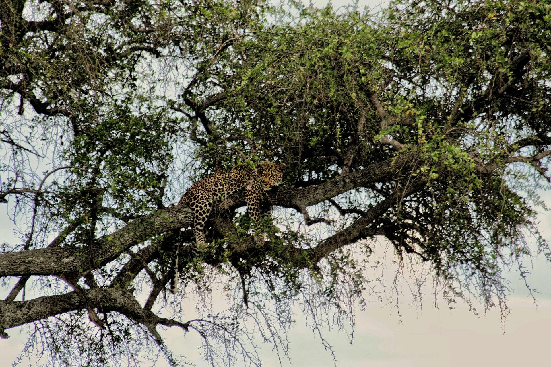 Photo from a stop of this diary