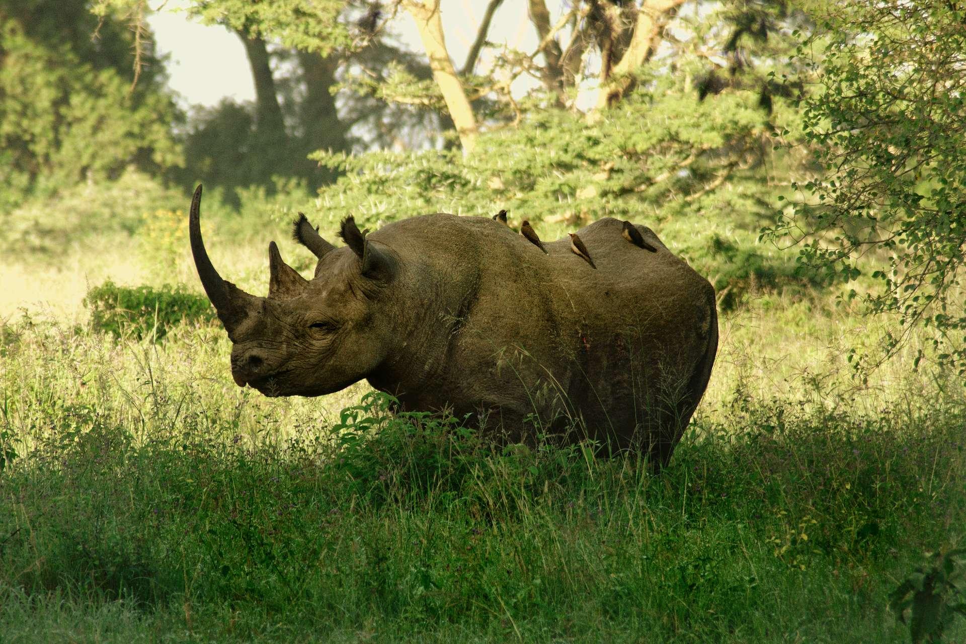 Photo from a stop of this diary