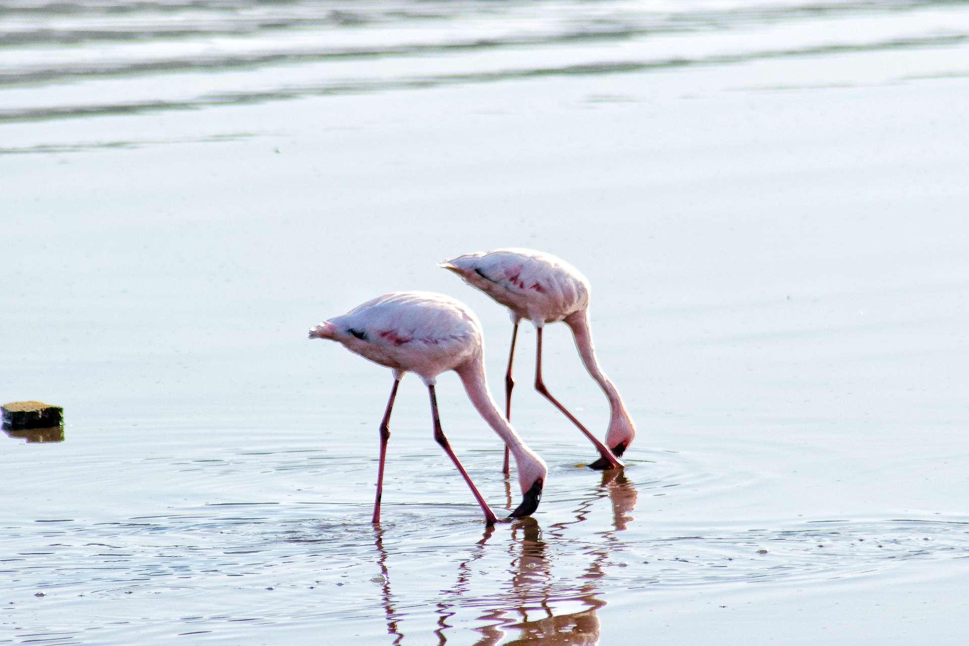 Photo from a stop of this diary