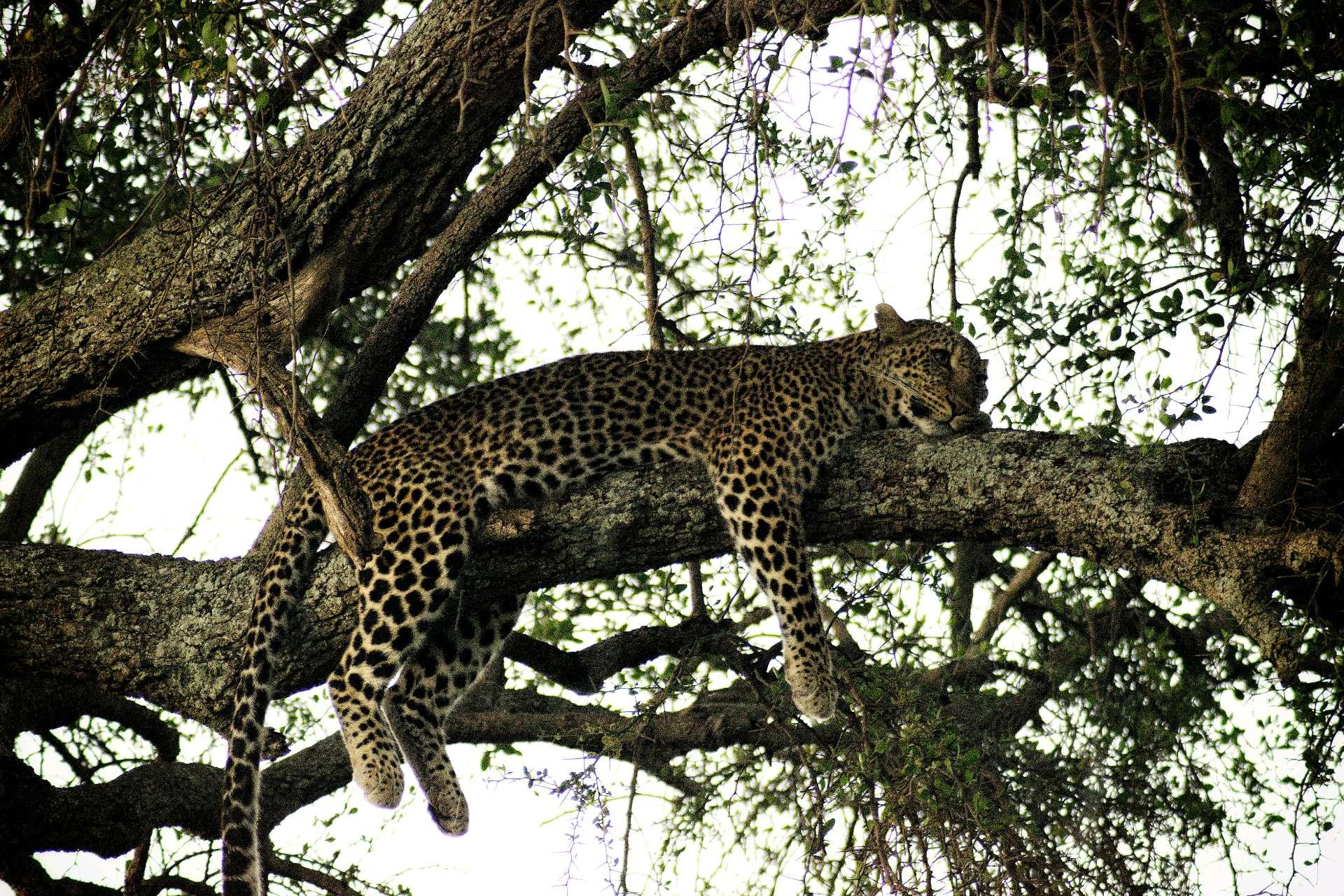 Photo from a stop of this diary