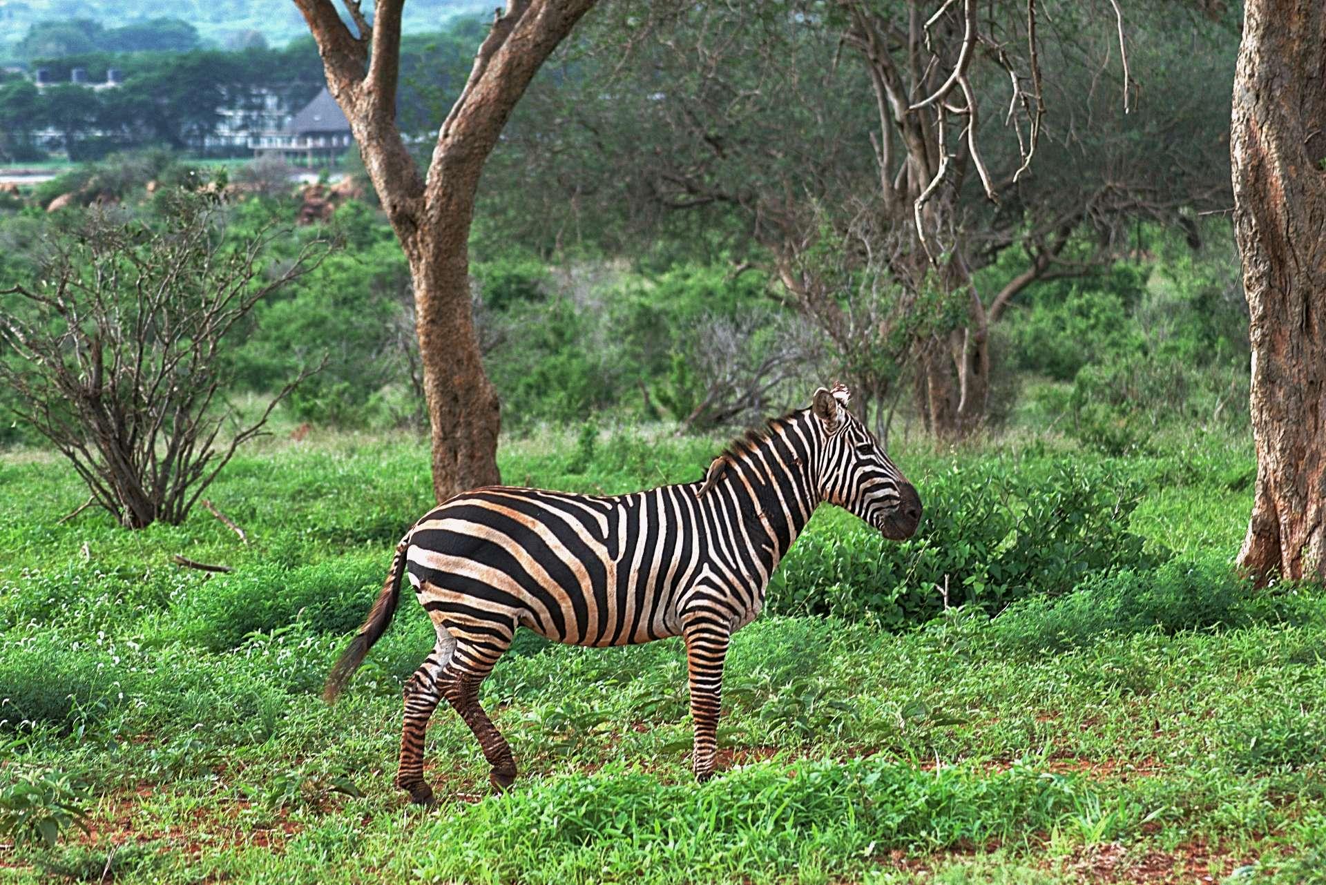 Photo from a stop of this diary