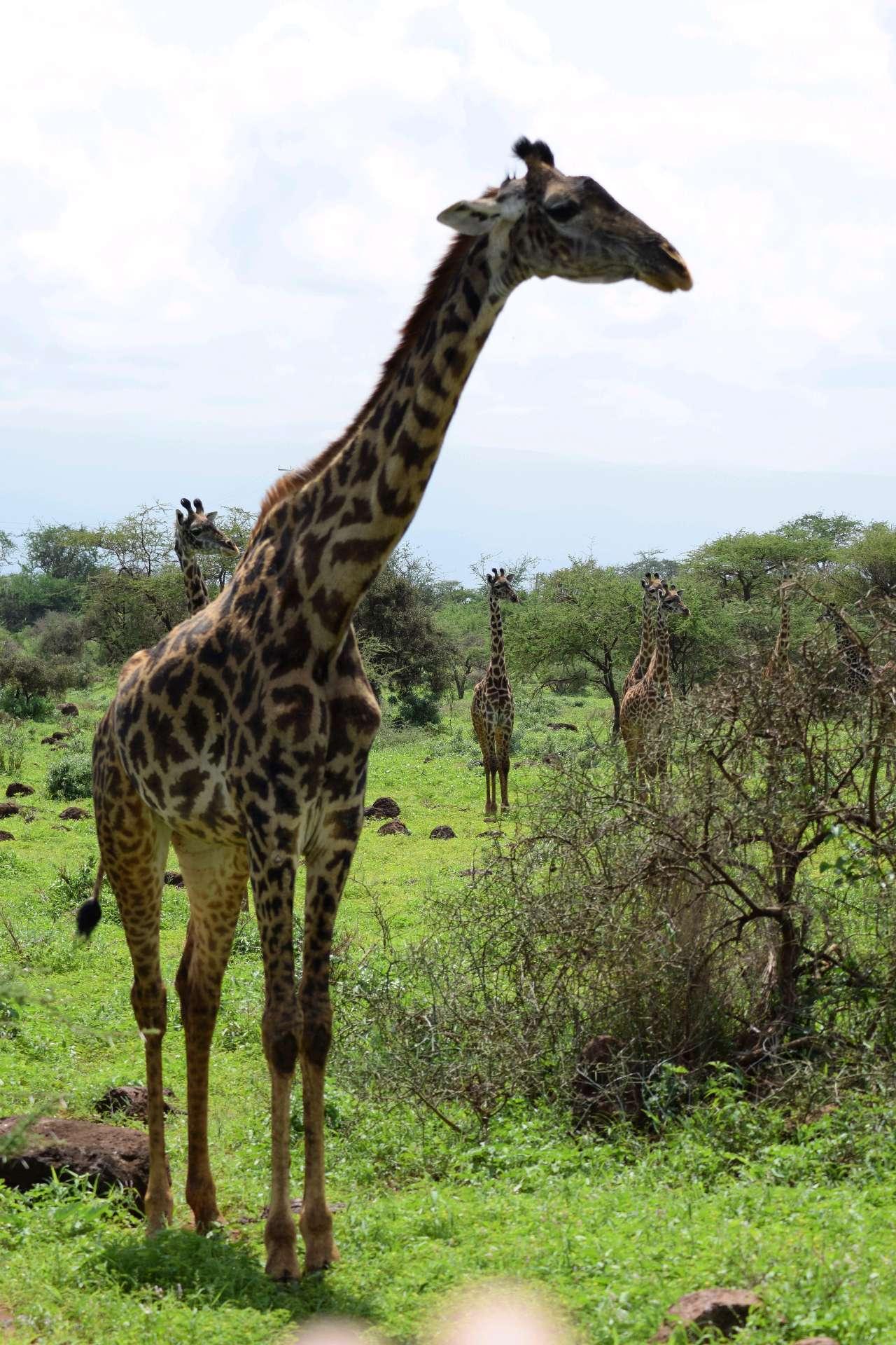 Photo from a stop of this diary