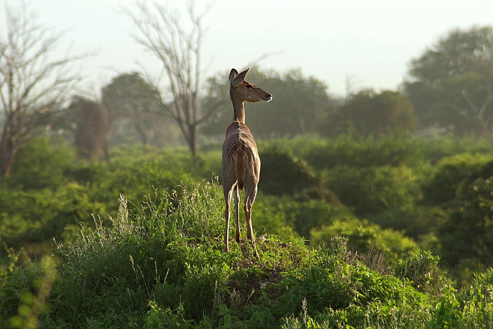 Photo from a stop of this diary