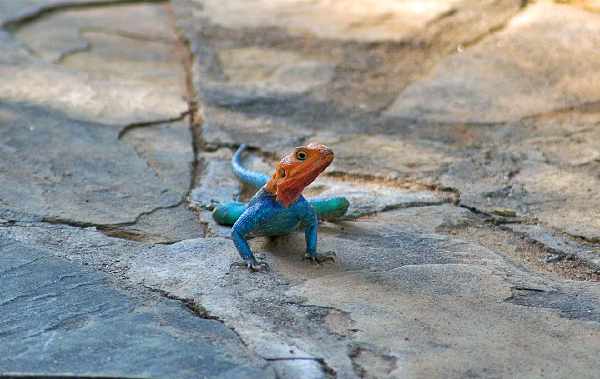 Photo from a stop of this diary