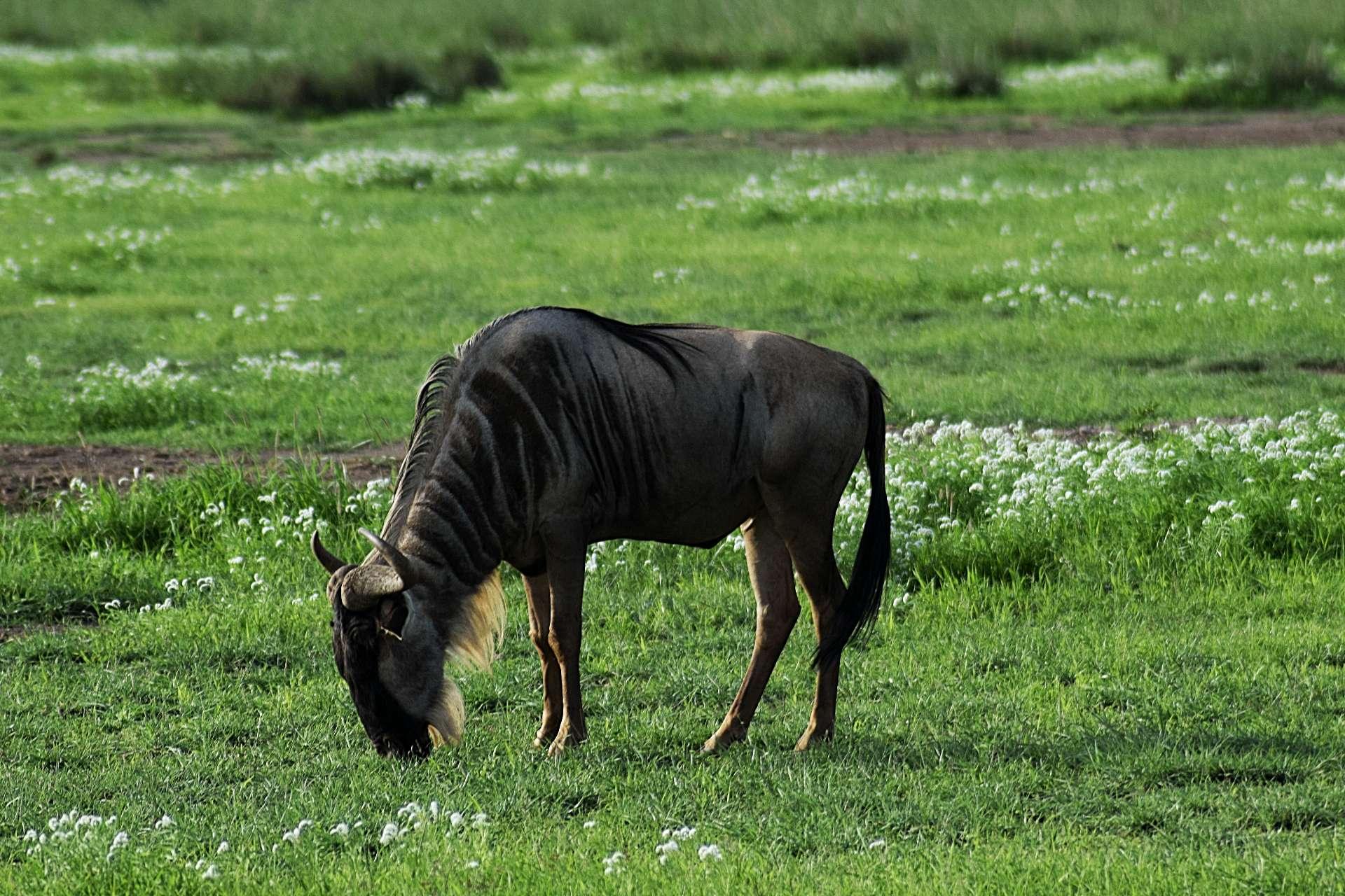 Photo from a stop of this diary