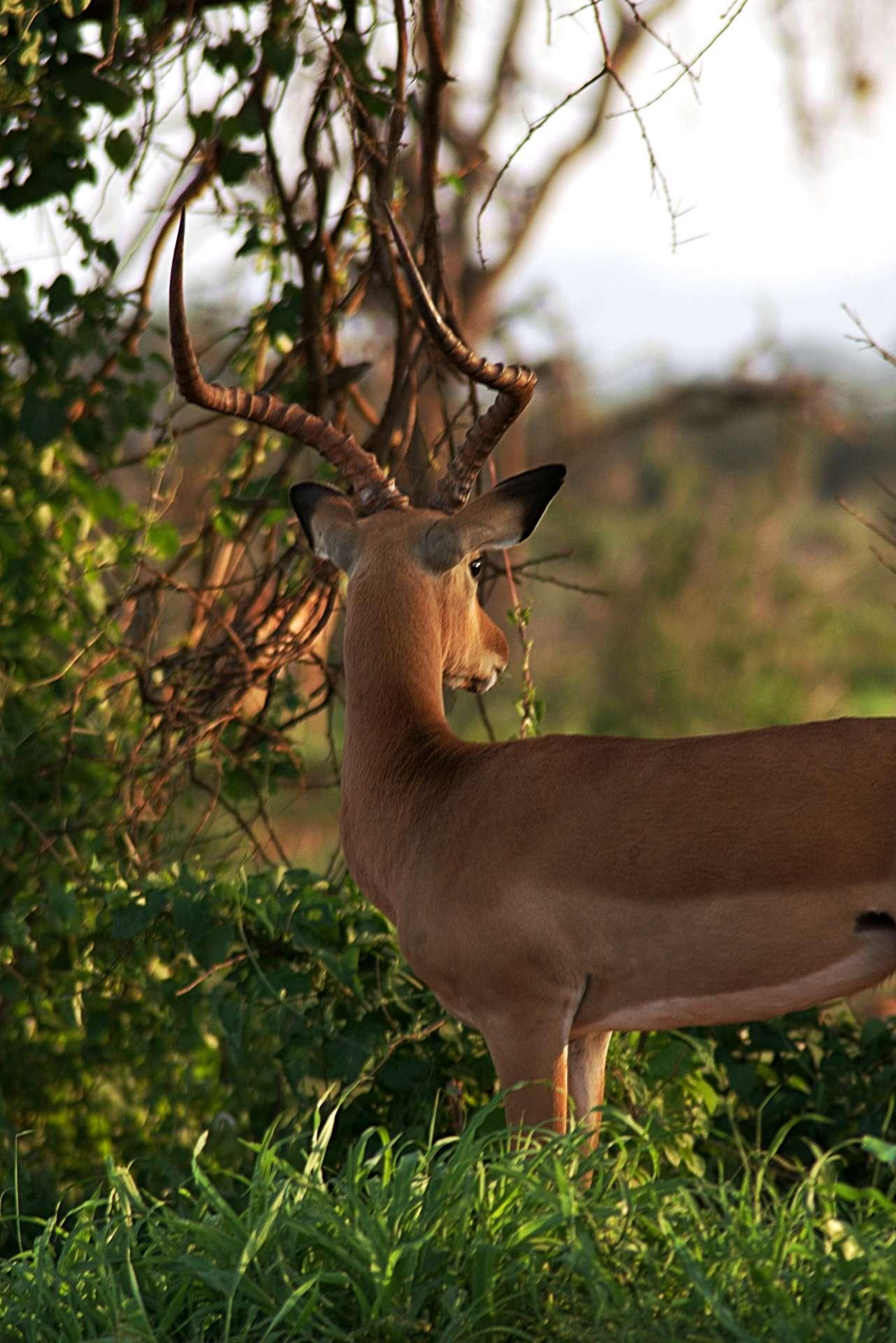 Photo from a stop of this diary