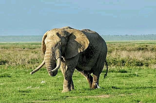 Photo from a stop of this diary