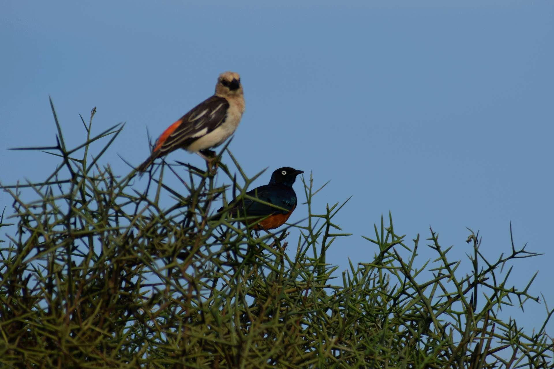 Photo from a stop of this diary