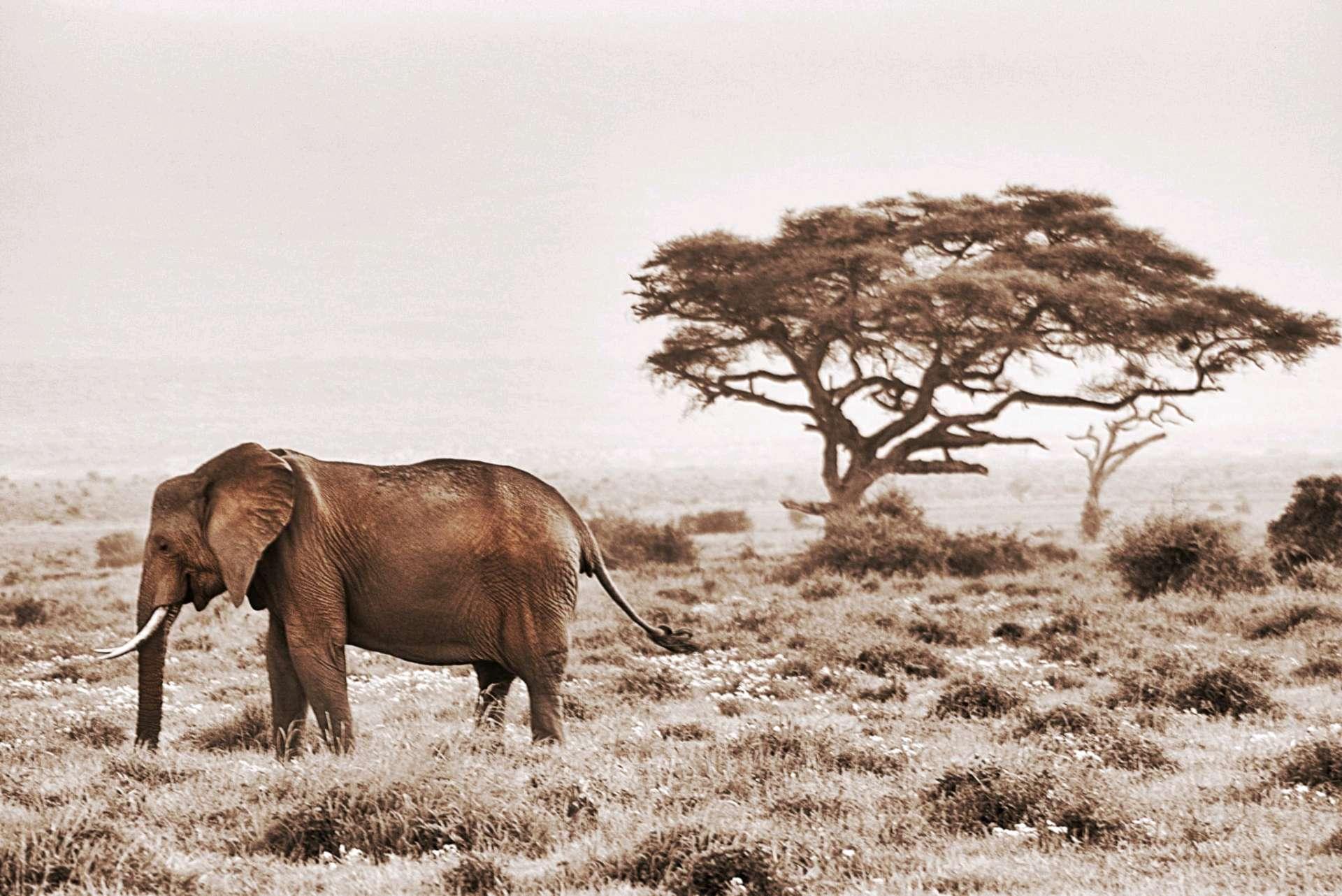 Photo from a stop of this diary