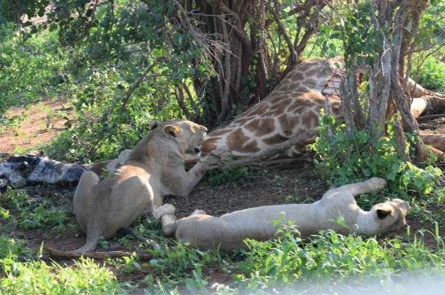 Photo from a stop of this diary