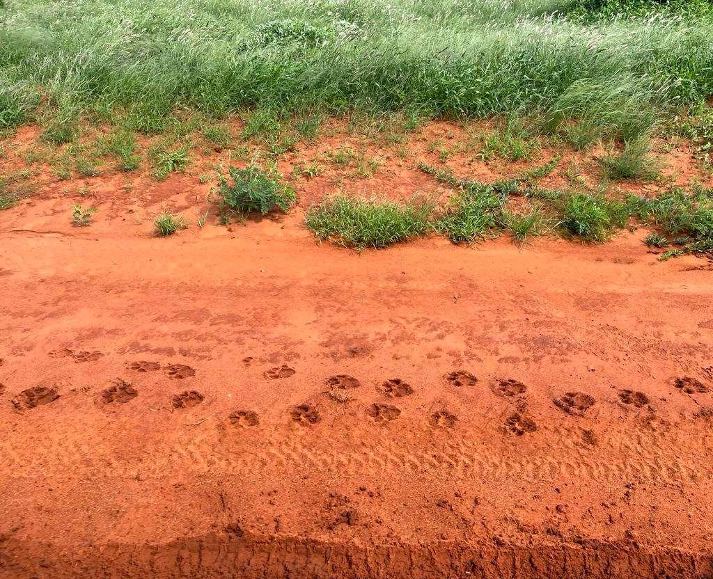 Photo from a stop of this diary