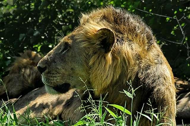 Photo from a stop of this diary