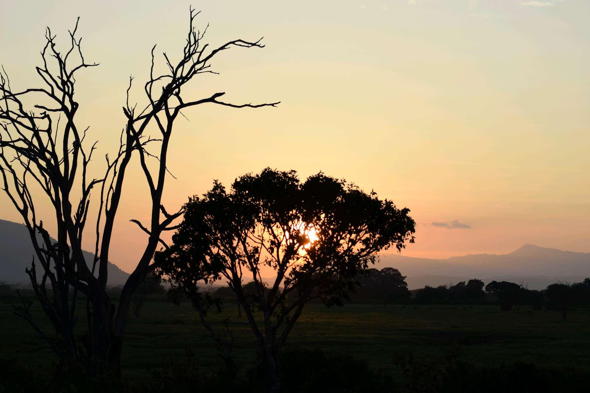 Photo from a stop of this diary