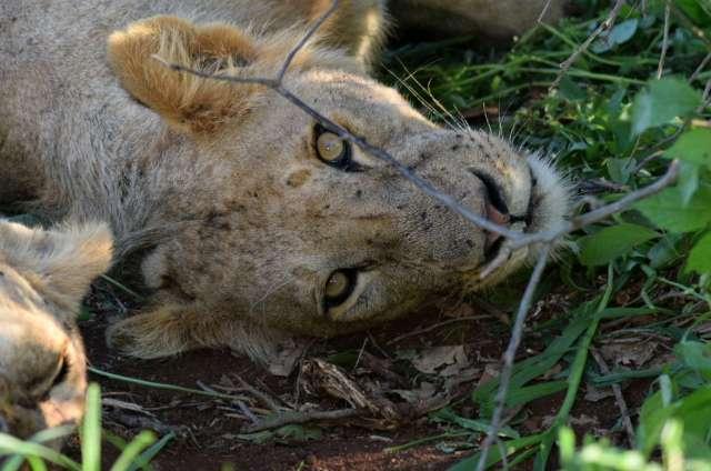 Photo from a stop of this diary