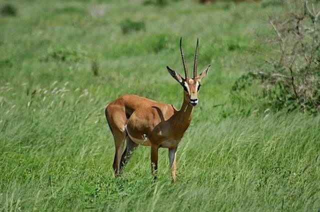 Photo from a stop of this diary