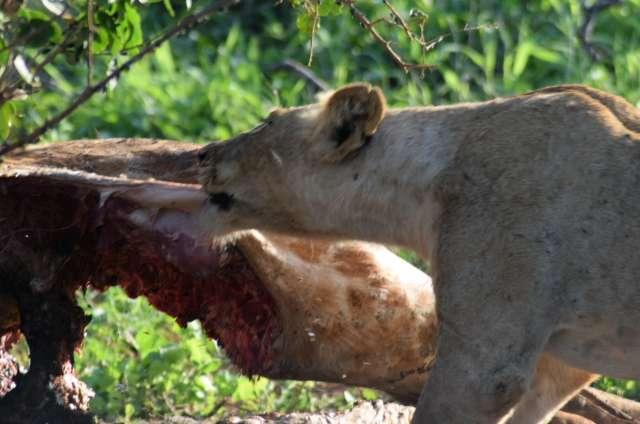 Photo from a stop of this diary