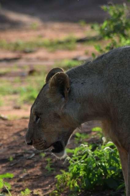 Photo from a stop of this diary