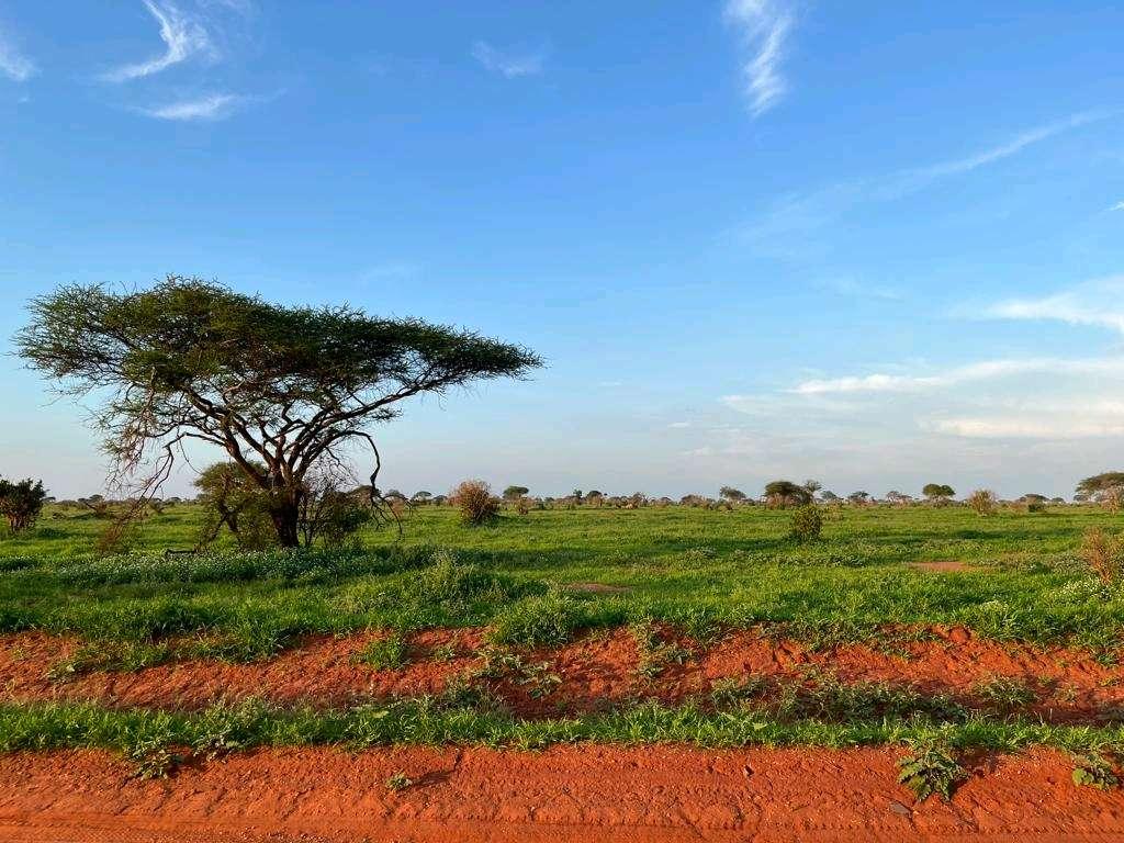 Photo from a stop of this diary