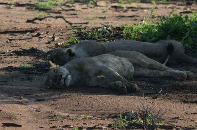 Photo from a stop of this diary