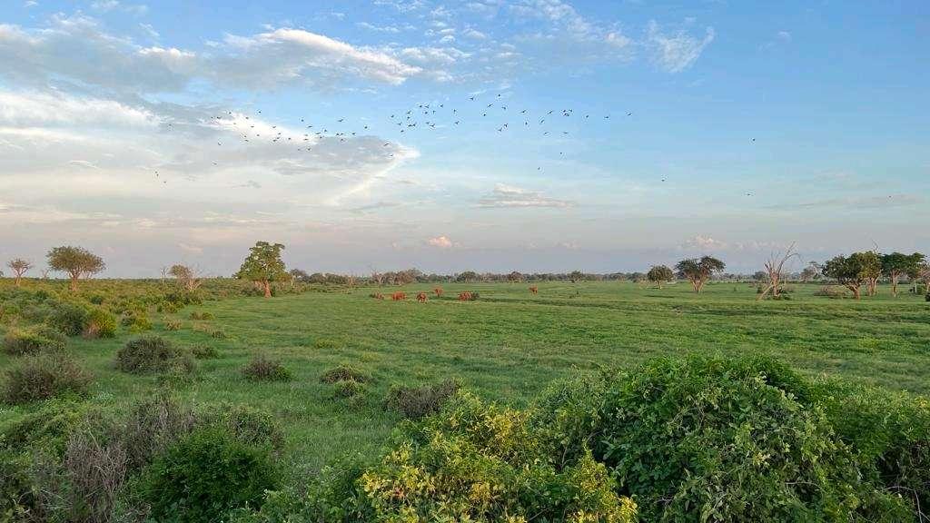 Photo from a stop of this diary