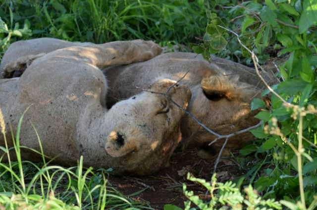 Photo from a stop of this diary