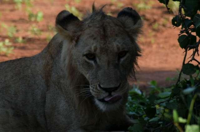 Photo from a stop of this diary