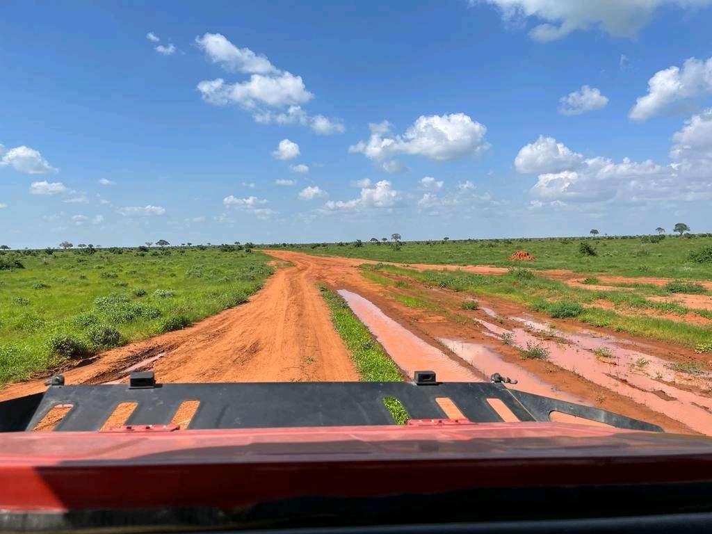 Photo from a stop of this diary