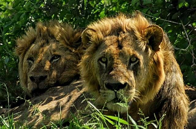 Photo from a stop of this diary