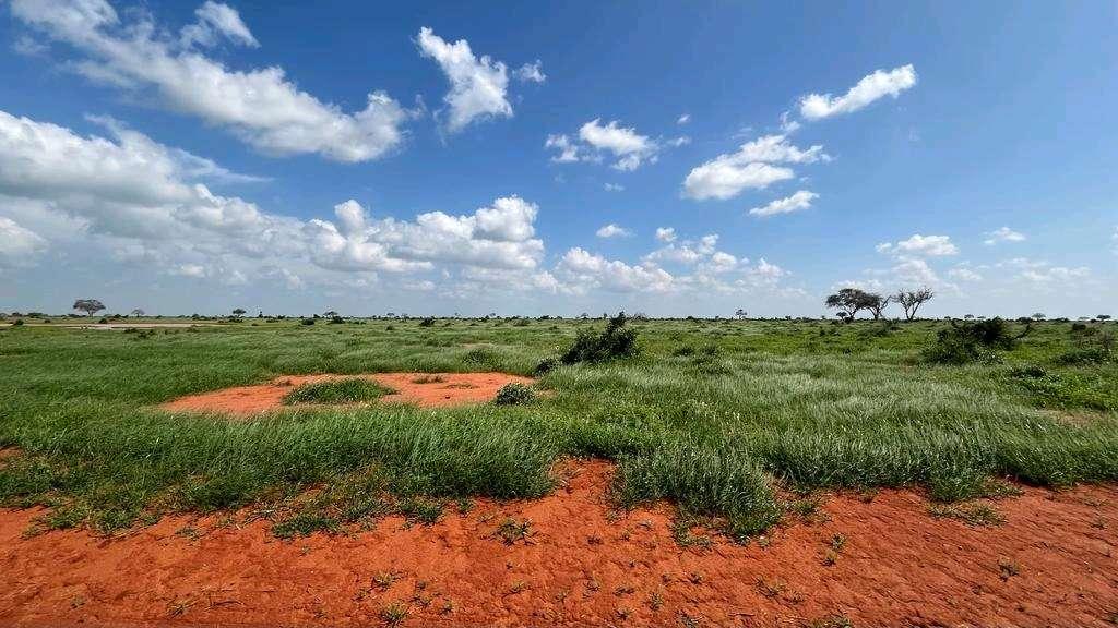 Photo from a stop of this diary