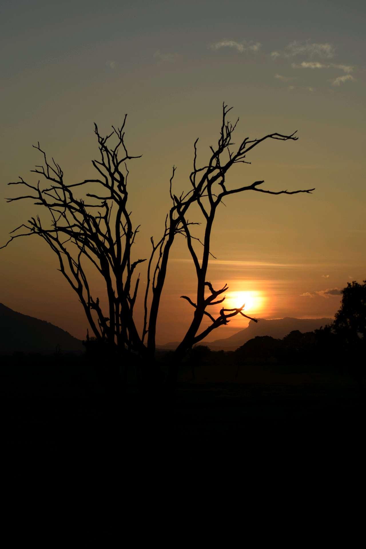 Photo from a stop of this diary