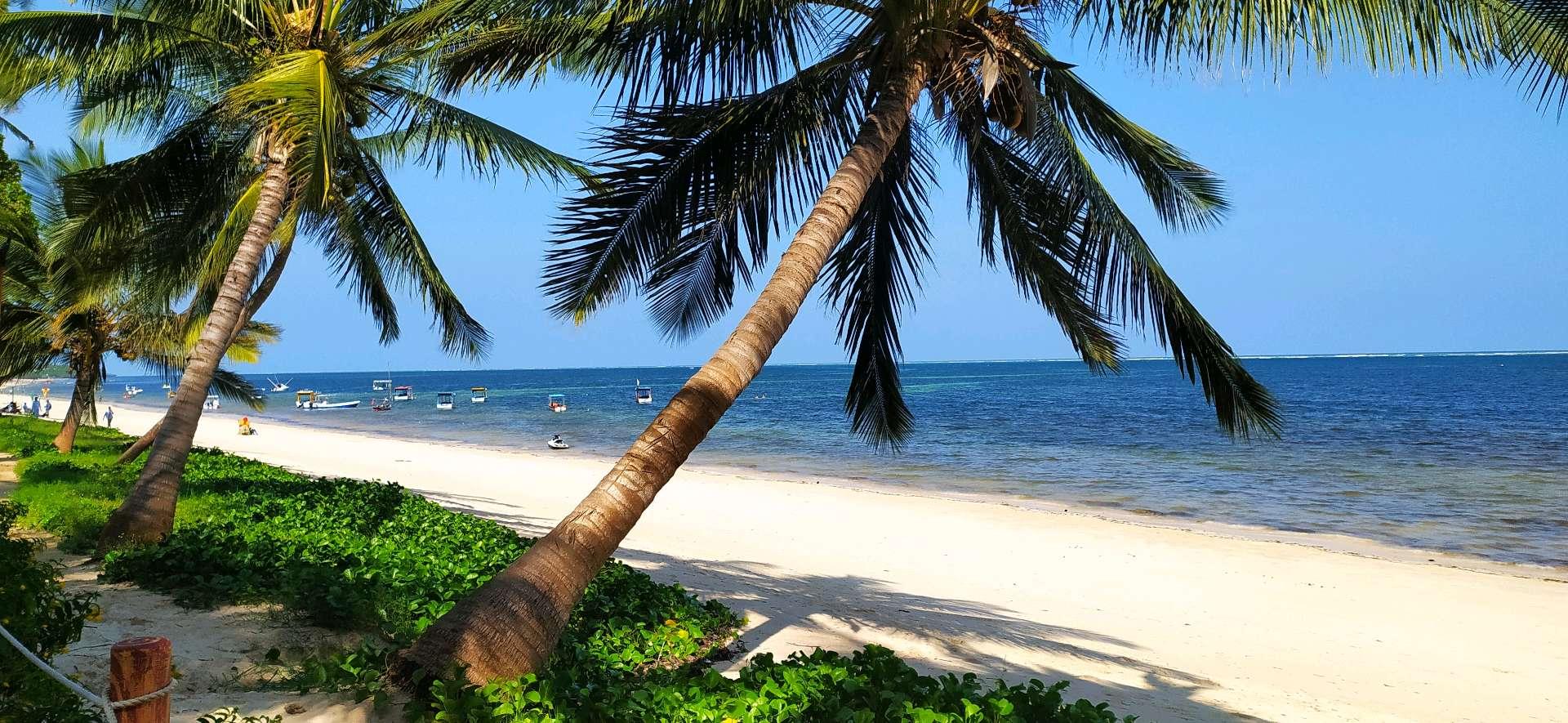 Photo from a stop of this diary