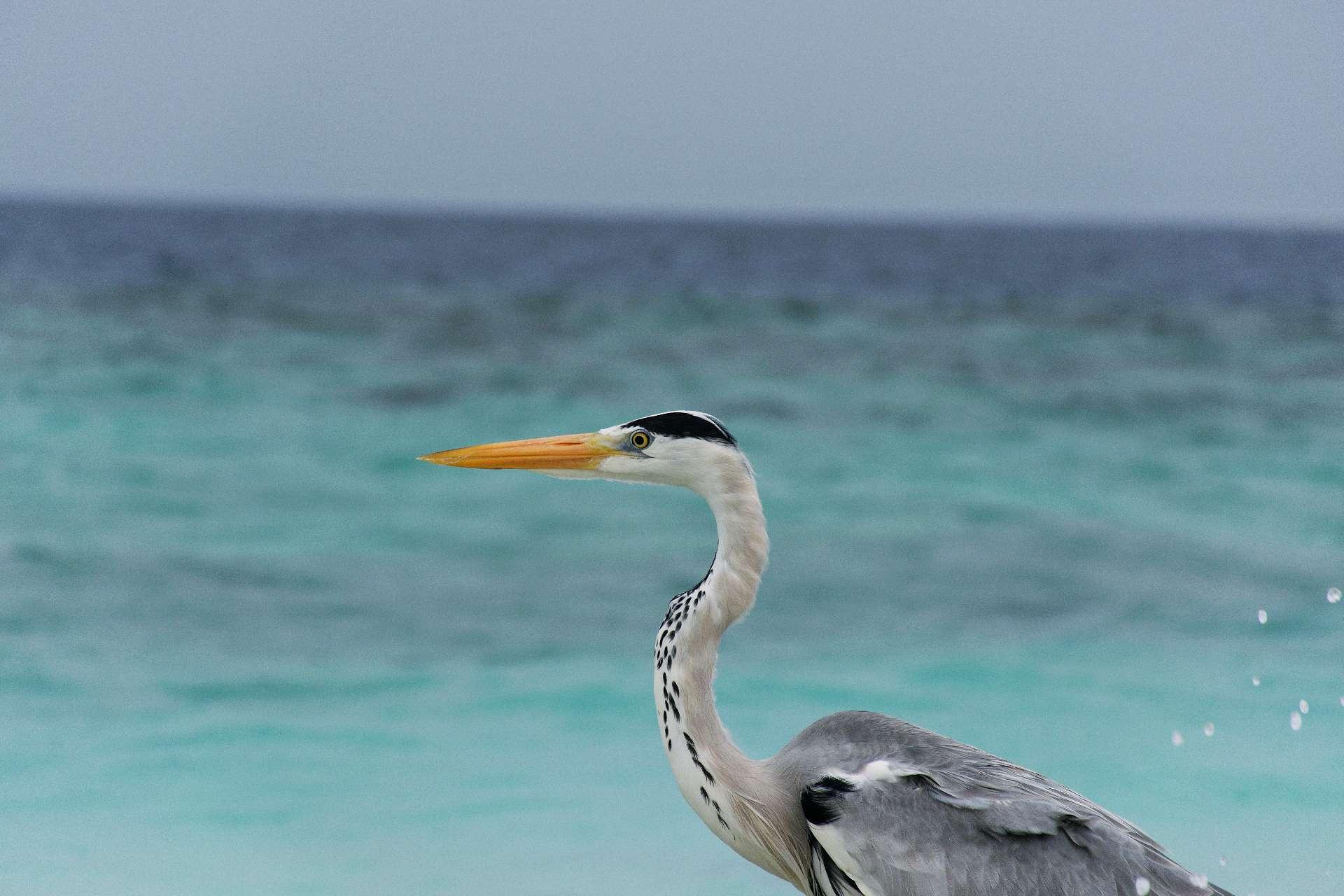 Photo from a stop of this diary