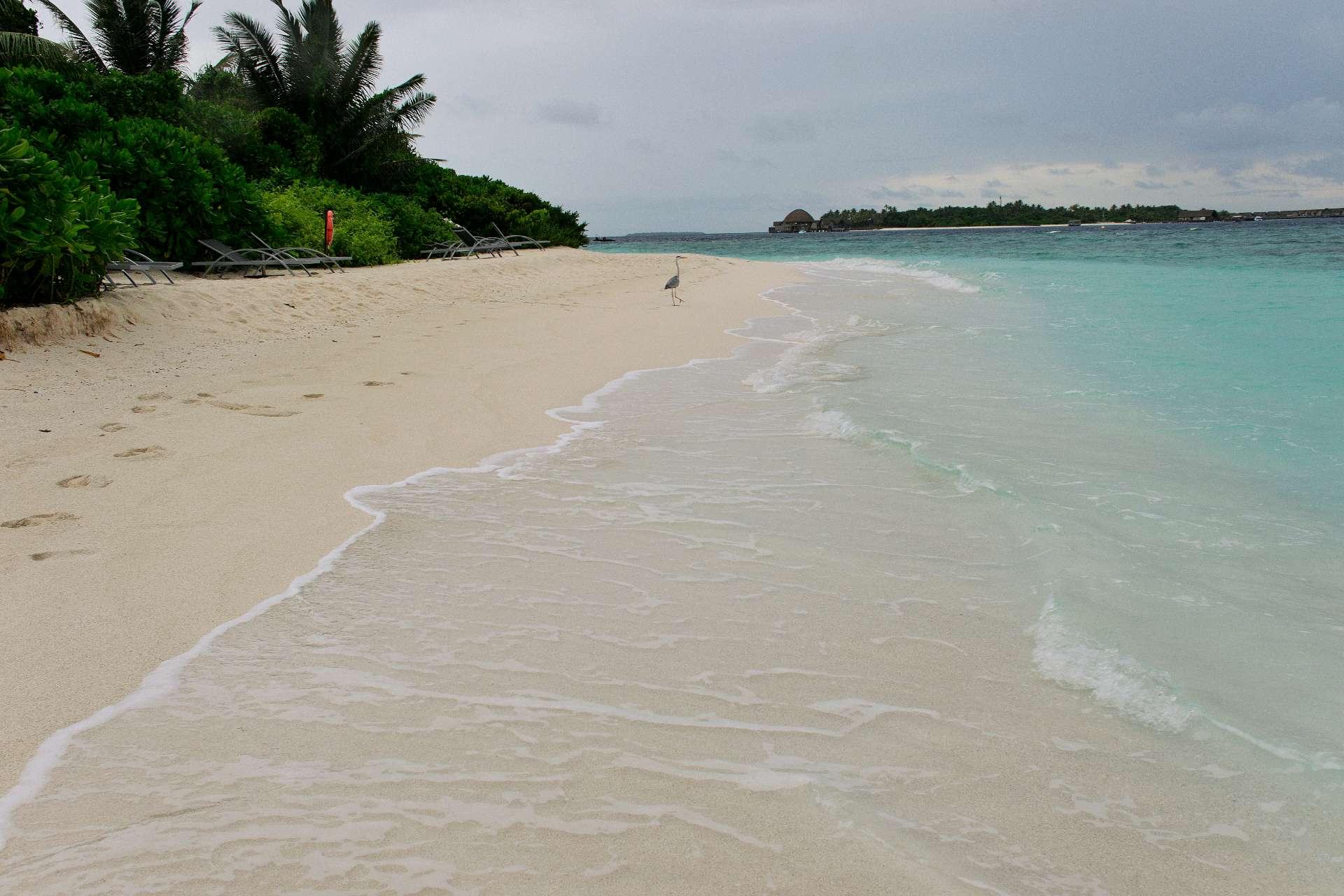 Photo from a stop of this diary