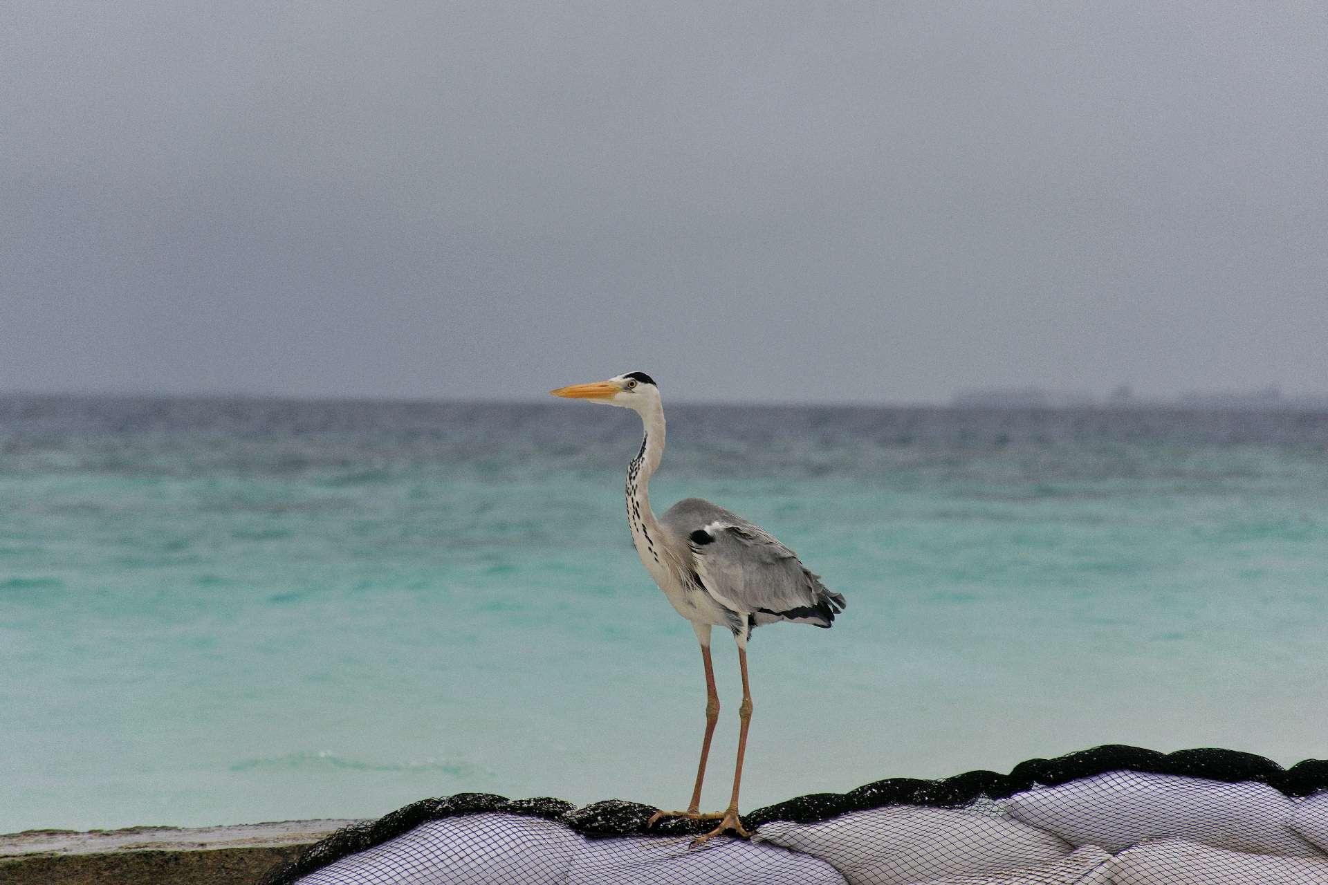 Photo from a stop of this diary