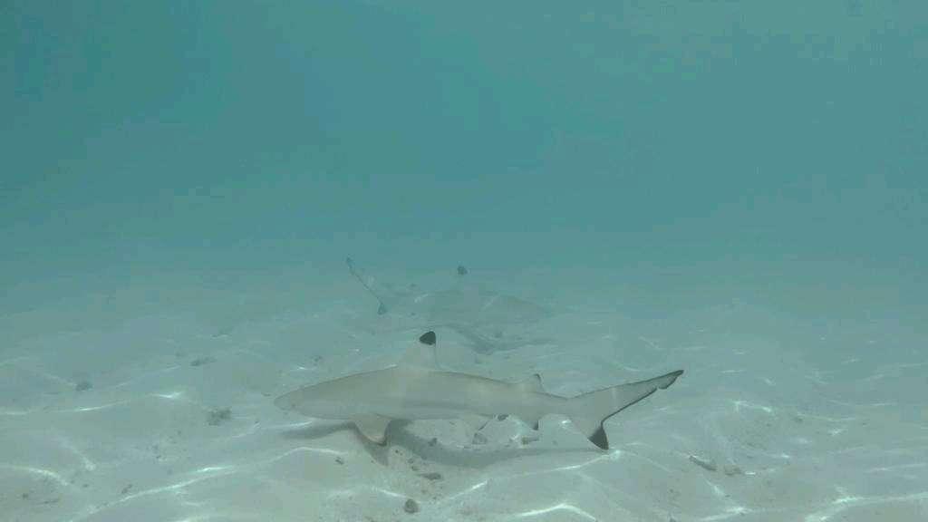 Photo from a stop of this diary