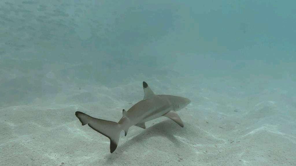 Photo from a stop of this diary