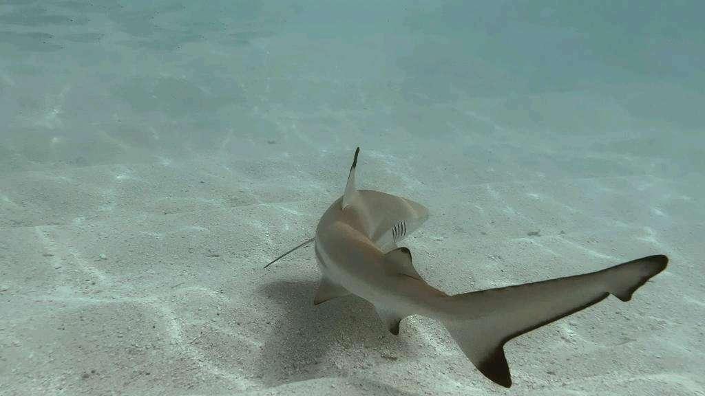 Photo from a stop of this diary