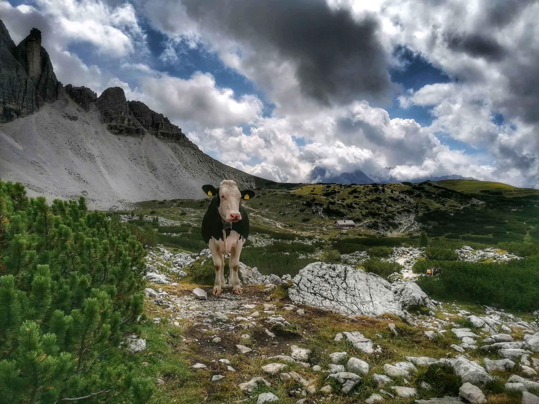 Photo from a stop of this diary