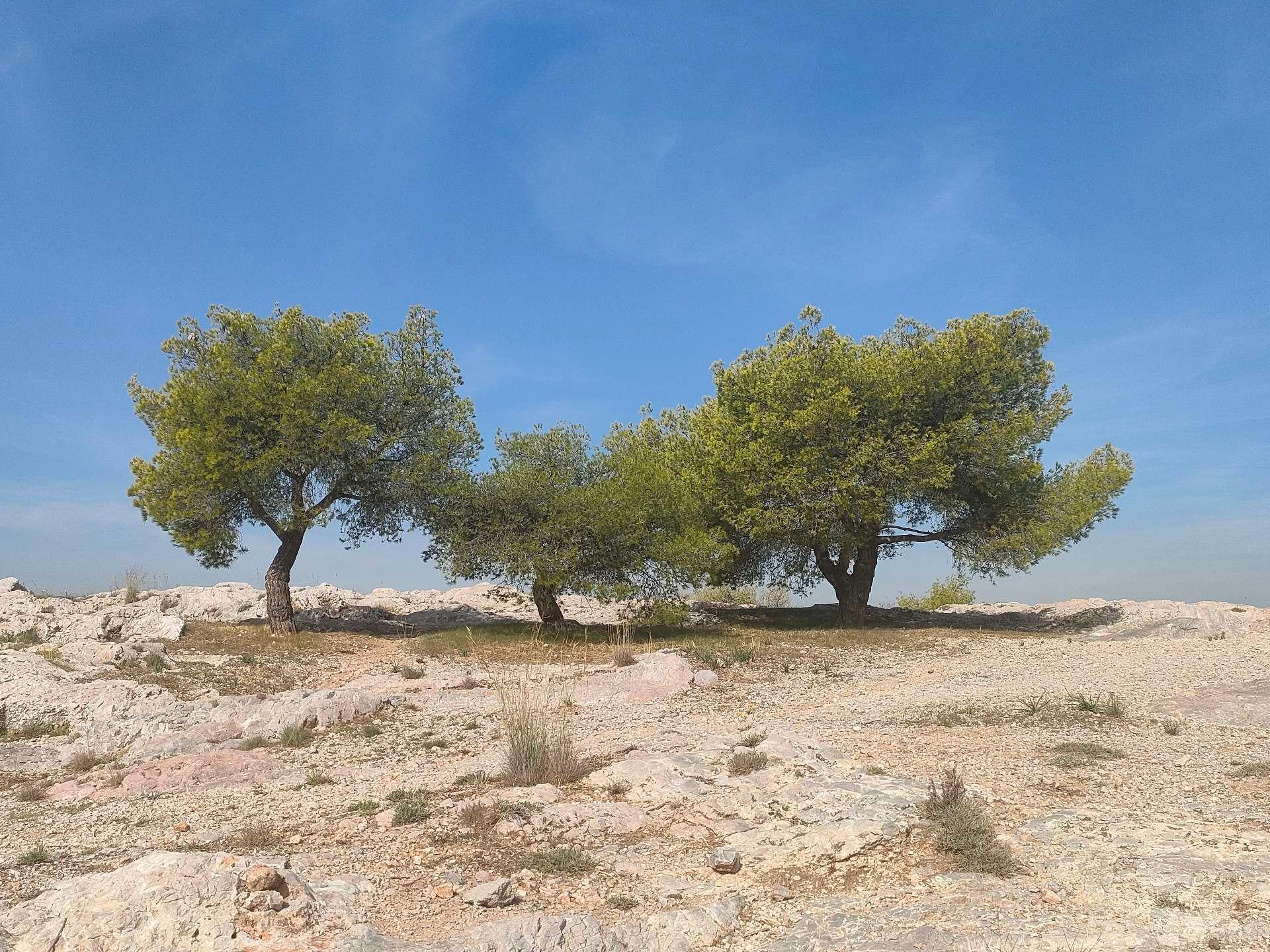 Photo from a stop of this diary