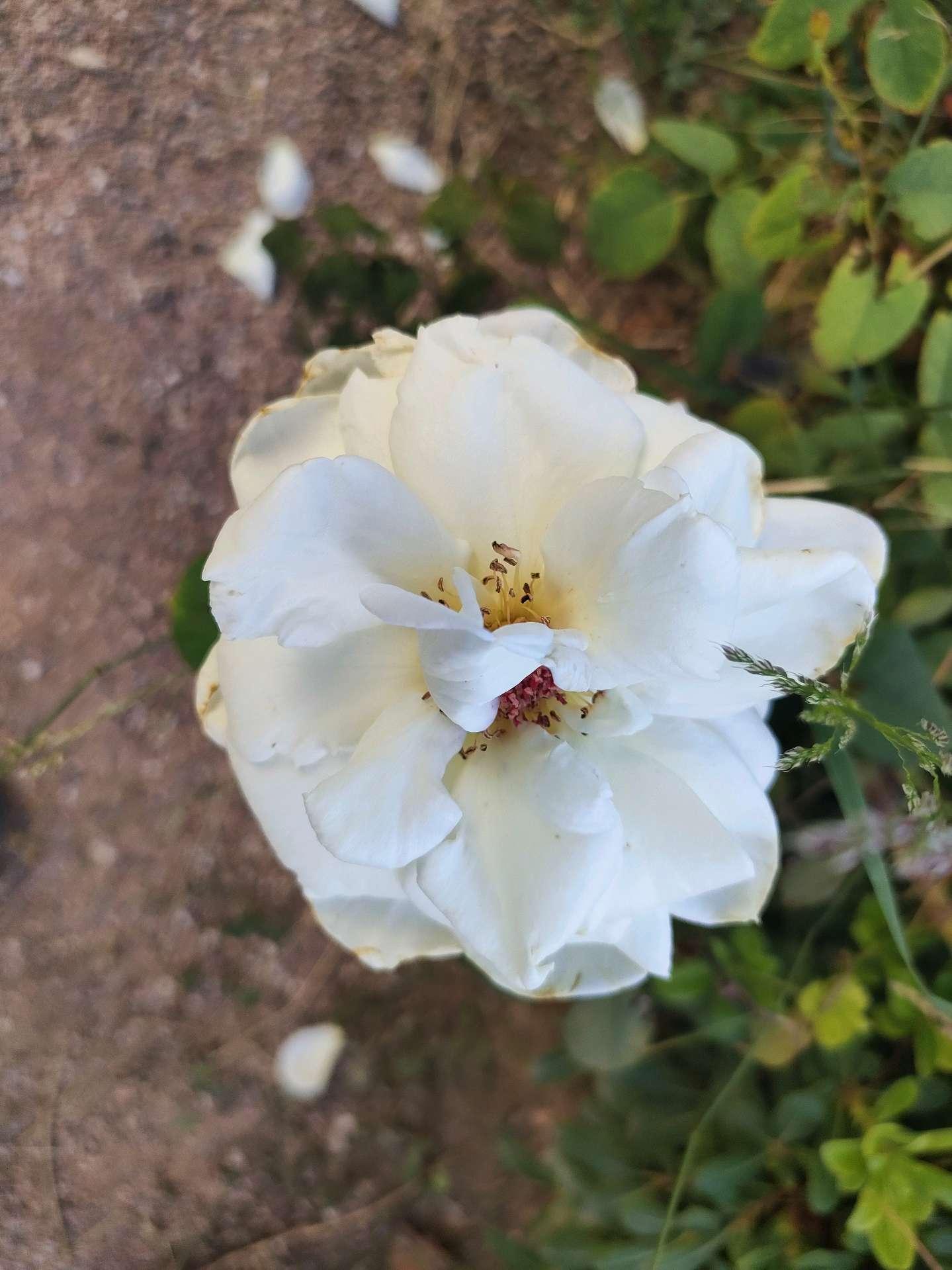 Photo from a stop of this diary